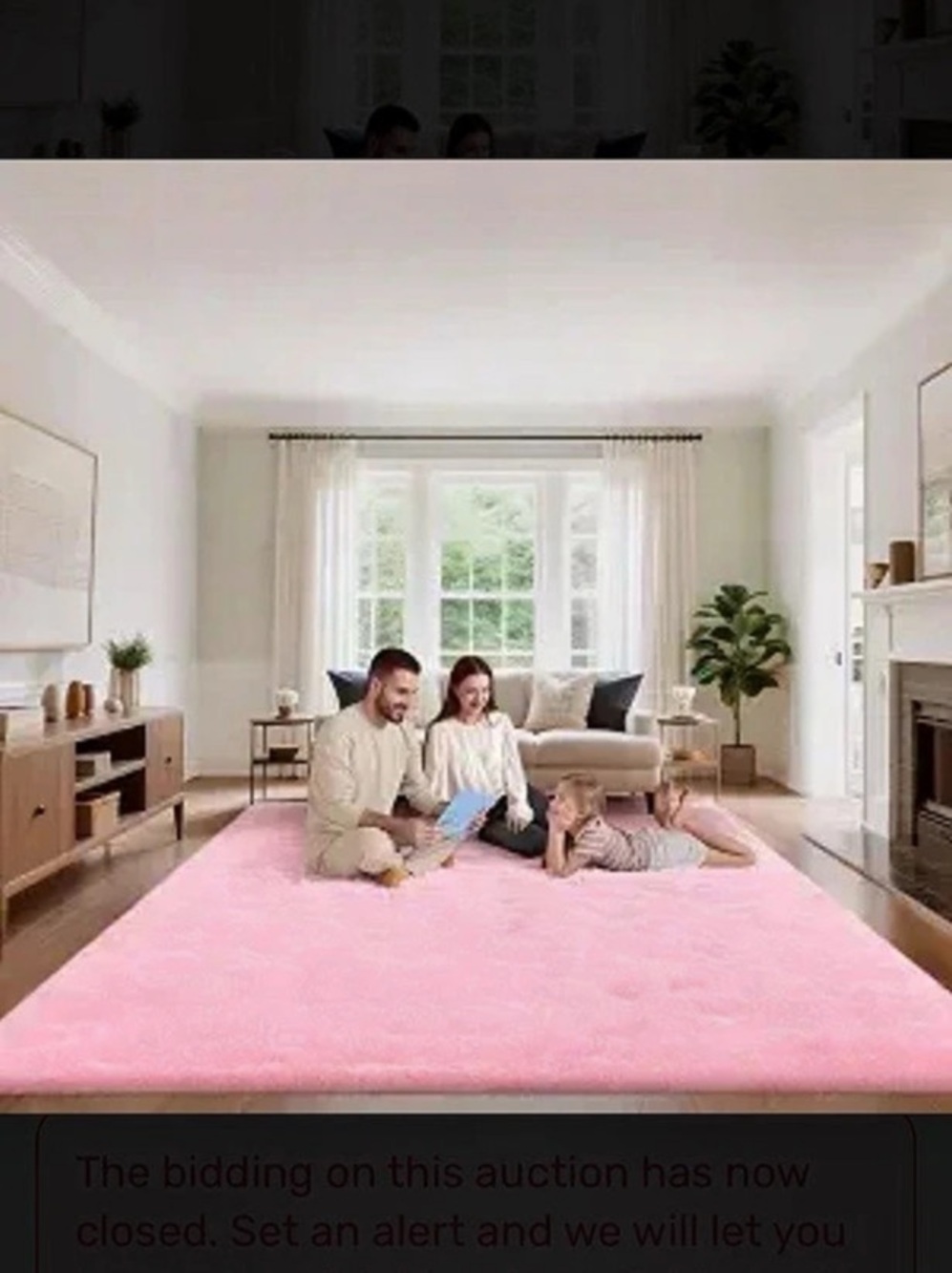 Pink Accent Rug